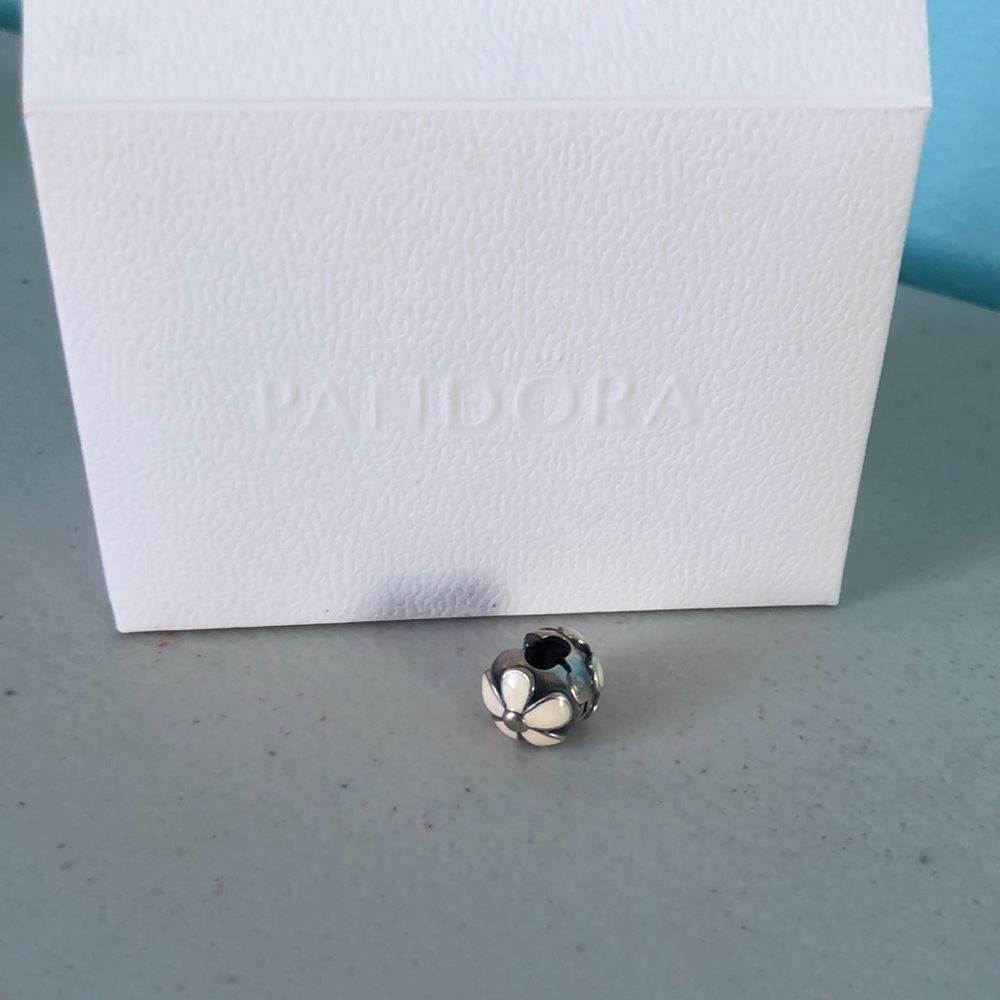 Pandora charm